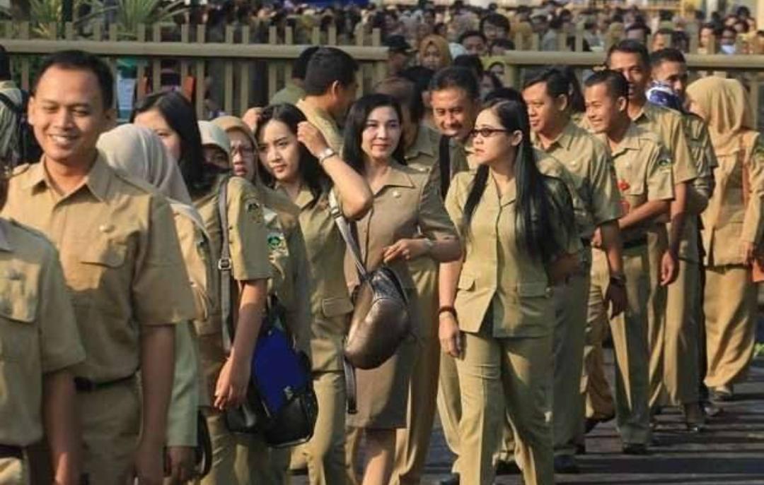 Menteri PAN-RB secara resmi telah memutuskan hanya memberikan kouta PPPK paruh waktu hanya sebanyak 11.135 orang.
