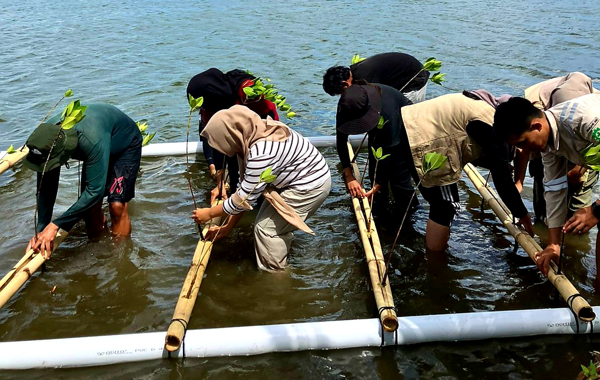 PEDULI LINGKUNGAN: Sejumlah pegawai PLN Indonesia Power UBP Jeranjang bersama Unram dan Tim Siaga Bencana Desa Taman Ayu saat menanam mangrove terapung.