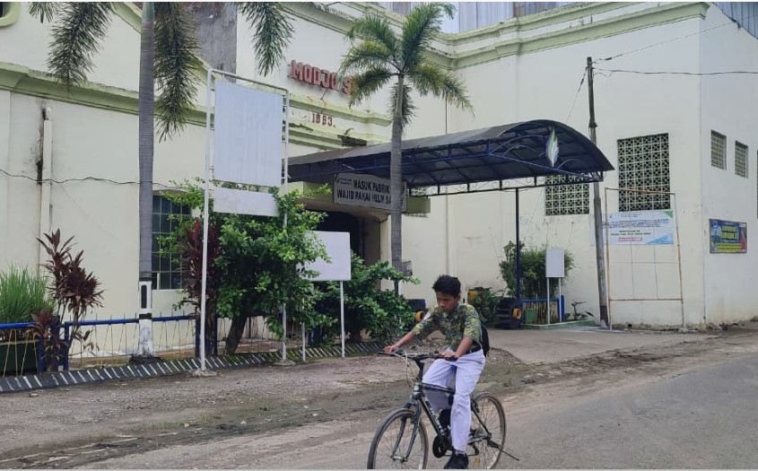 BERDIRI SEJAK 1883: Suasana di PG Mojo, Sragen (28/3). Pabrik gula ini bisa terus bertahan berkat melimpahnya suplai bahan baku gula.