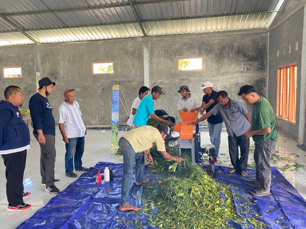Sejumlah peternak kerbau diajarkan proses pembuatan pakan ternak oleh Tim PKM UTS, di Balai Desa Batu Tering, Kabupaten Sumbawa, pada Rabu (27/8).