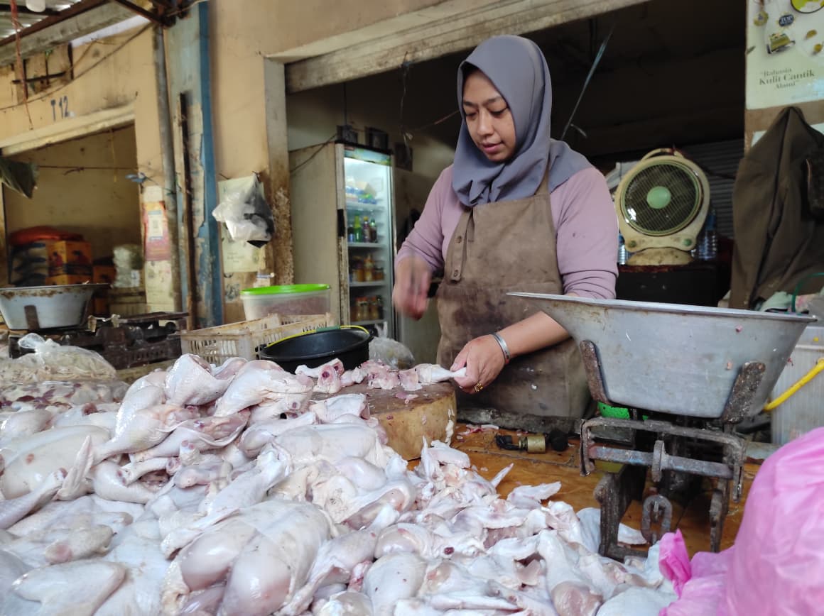 Harga daging ayam dan telur di Mataram merangkak naik jelang Maulid Nabi Muhammad SAW