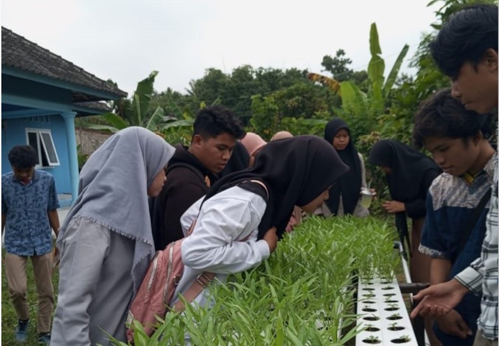 CEK: Beberapa pelajar ke Tekino farm melihat tanaman hidroponik di Dusun Lilir, Desa Lenek Daya, Kecamatan Lenek, Jumat (29/8).