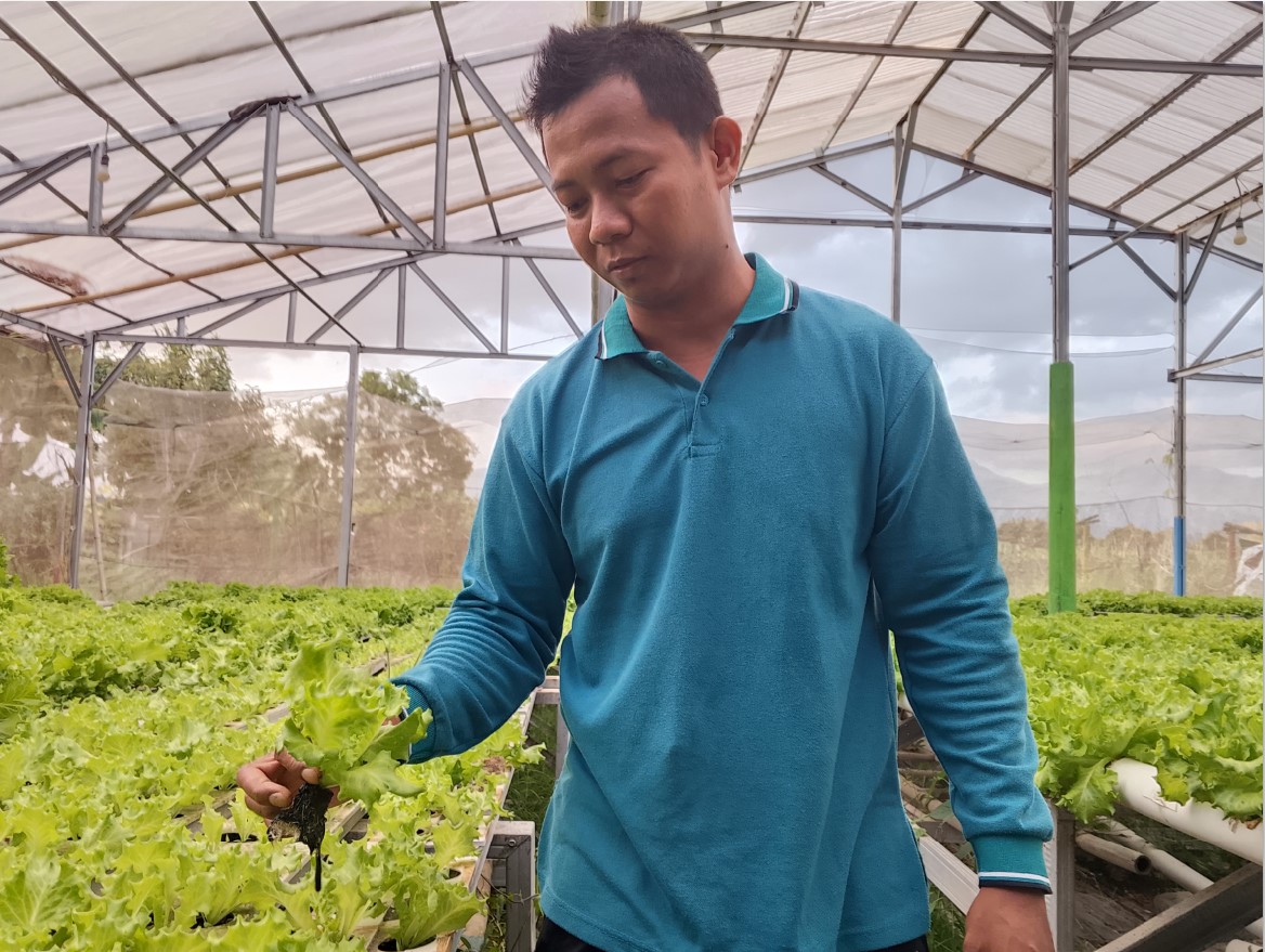 Nuruzzaman Karomi&nbsp;menggeluti pertanian hidroponik sejak tahun 2017.