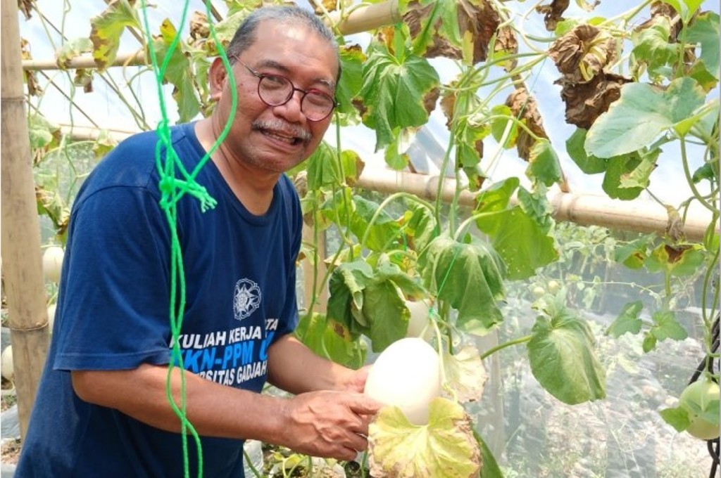 Akademisi Universitas Mataram (Unram) Prof Muhammad Sarjan menuturkan, urban farming sudah lama diterapkan masyarakat baik di perkotaan maupun pedesaan. Manfaat yang dirasakan langsung.