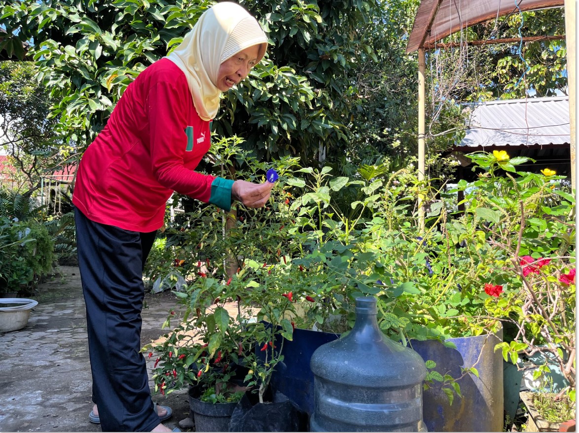 BERSIHKAN SAMPAH: Husnanidiaty Nurdin tengah membersihkan daun kering yang jatuh dalam kolam ikan peliharaannya.