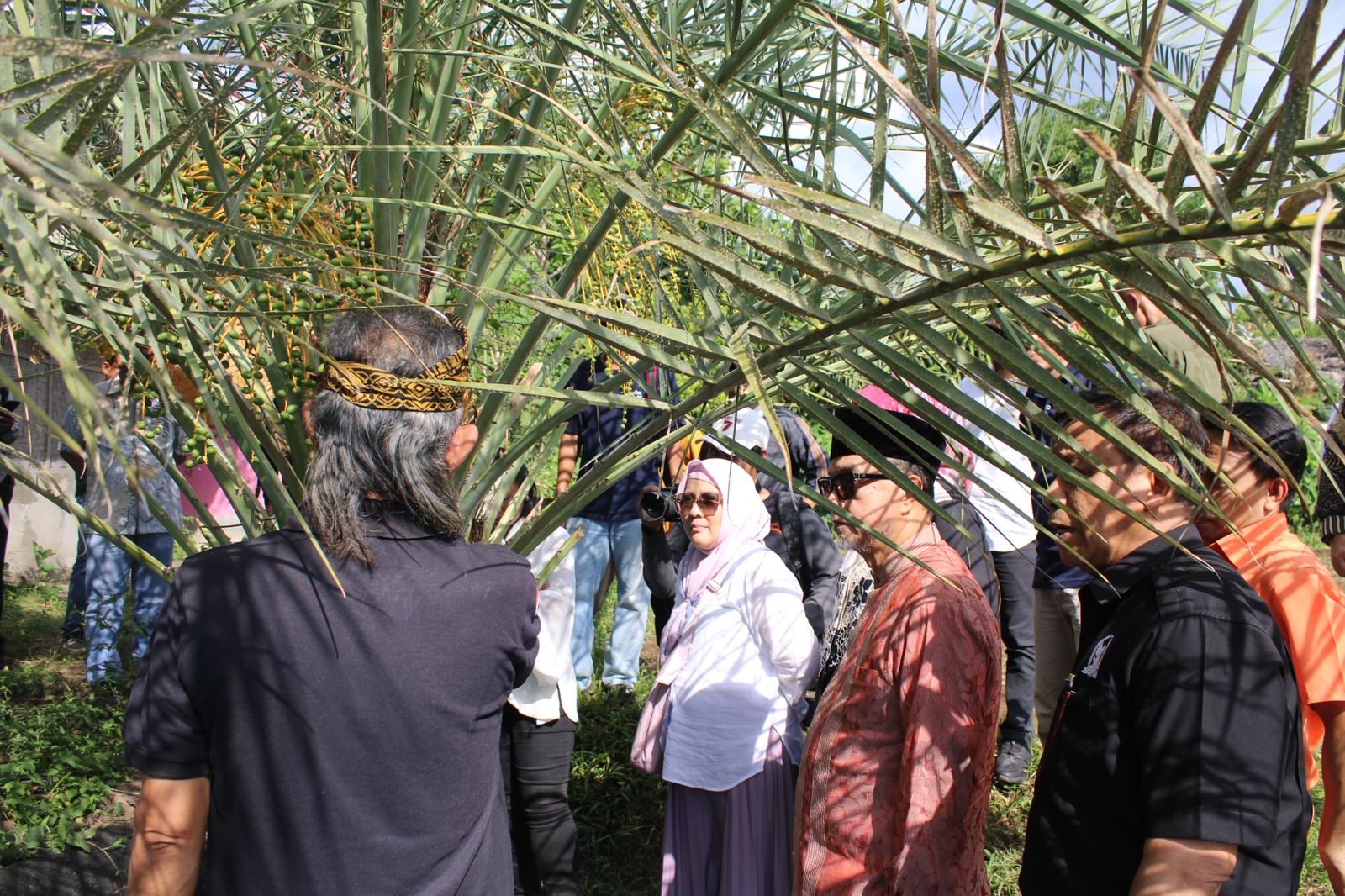 Wakil Ketua DPD RI, Tamsil Linrung, menyampaikan apresiasi tinggi terhadap program pengembangan potensi kurma dan kacang sacha inchi di Lombok Utara.
