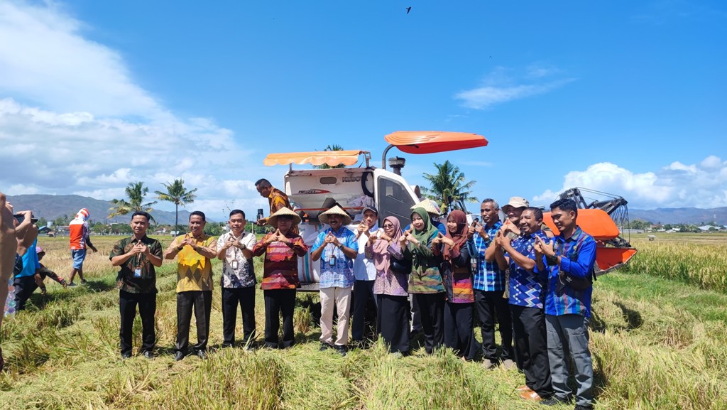 SURVEI: BPS Dompu turun survei konversi gabah ke beras di Desa Matua, Kecamatan Woja, Jumat (29/8).