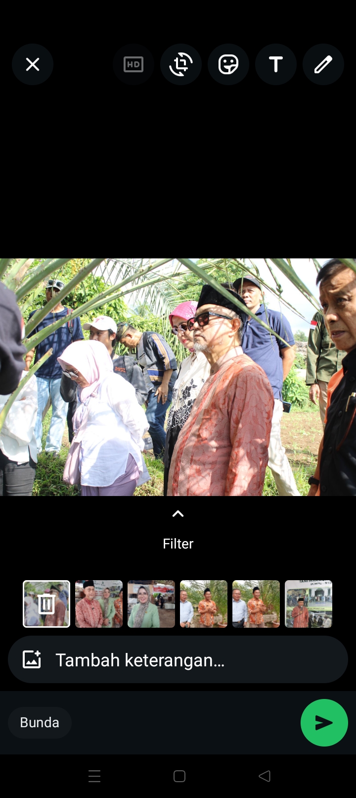 Selain sebagai komoditas ekspor, kebun kurma di Lombok Utara juga menjadi destinasi agrowisata yang menarik banyak pengunjung.