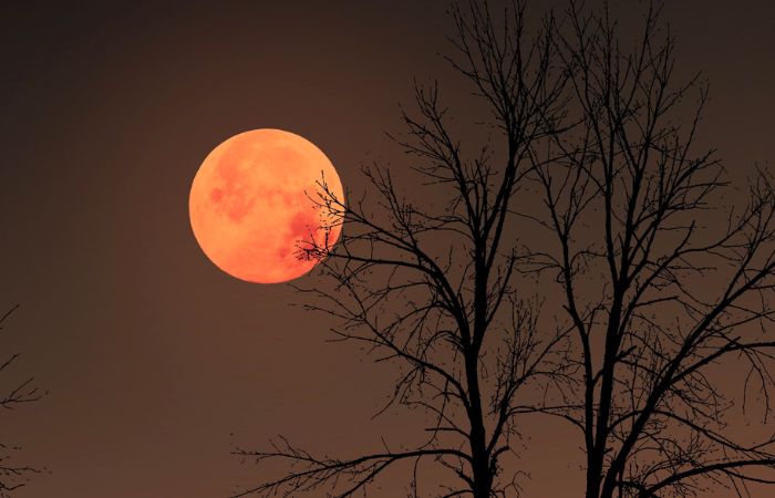 Gerhana bulan total yang dapat disaksikan masyarakat NTB langsung dari rumah