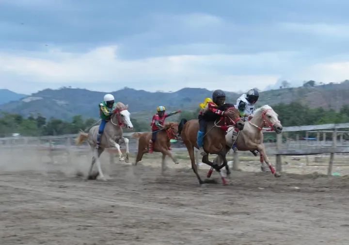 Para joki cilik beraksi di pacuan kuda tradisional Wali Kota Bima Cup I di Arena Pacuan Kuda Sambinae, Sabtu (6/9).
