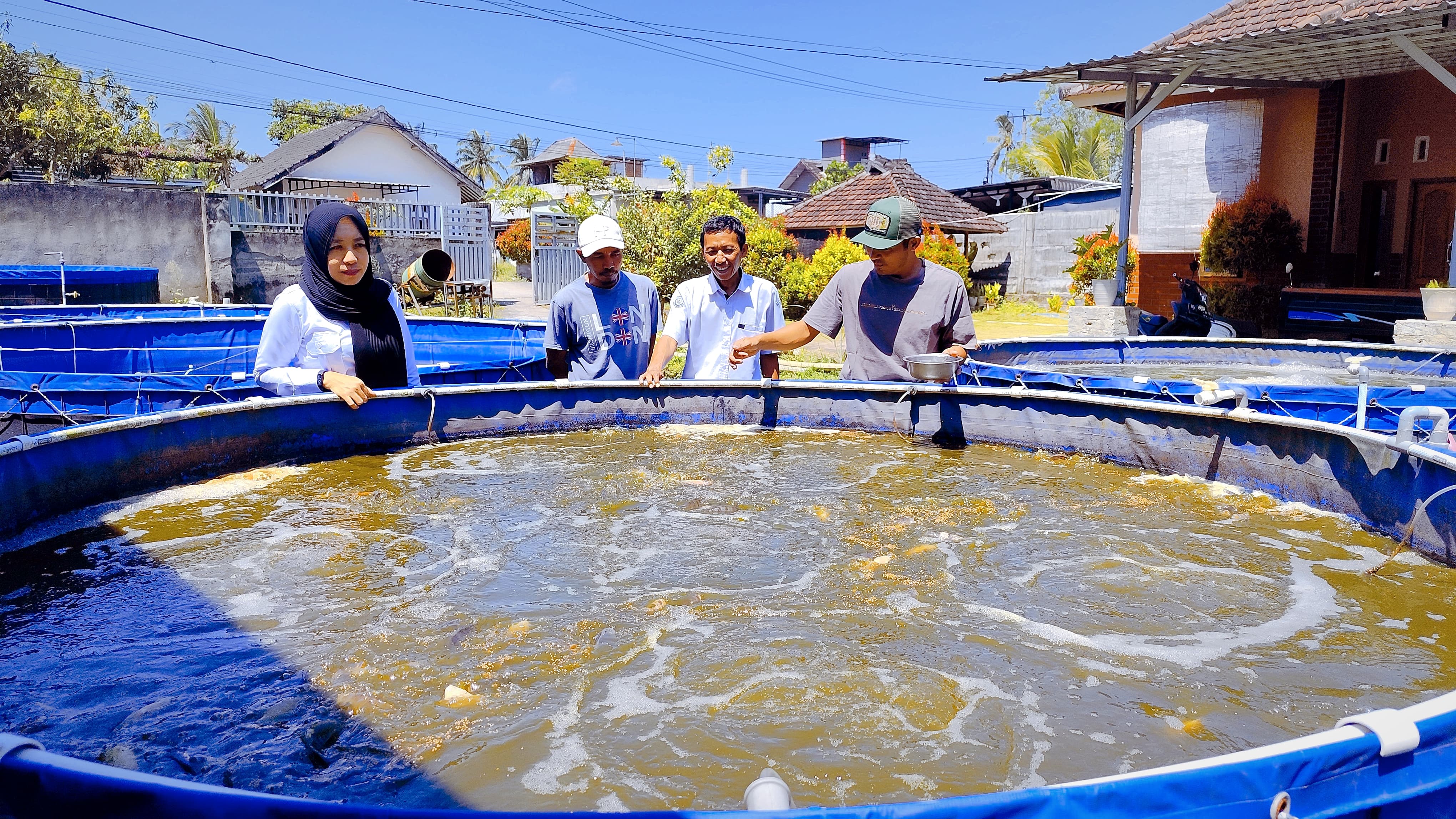 Penyuluhan perikanan dari Dinas Kelautan dan Perikanan (DKP) Lombok Timur (Lotim) saat mengecek kondisi ikan tawar yang dibudidayakan menggunakan sistem Bioflok