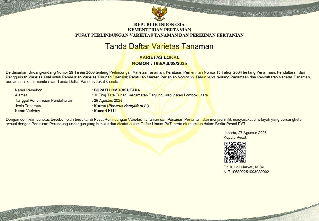 Kurma Lombok Utara telah memiliki sertifikat atau Tanda Daftar Varietas Tanaman, Kategori Varietas Lokal dengan Nomor 169/A.9/08/2025 yang diterbitkan 27 Agustus 2025 oleh Kementerian Pertanian.