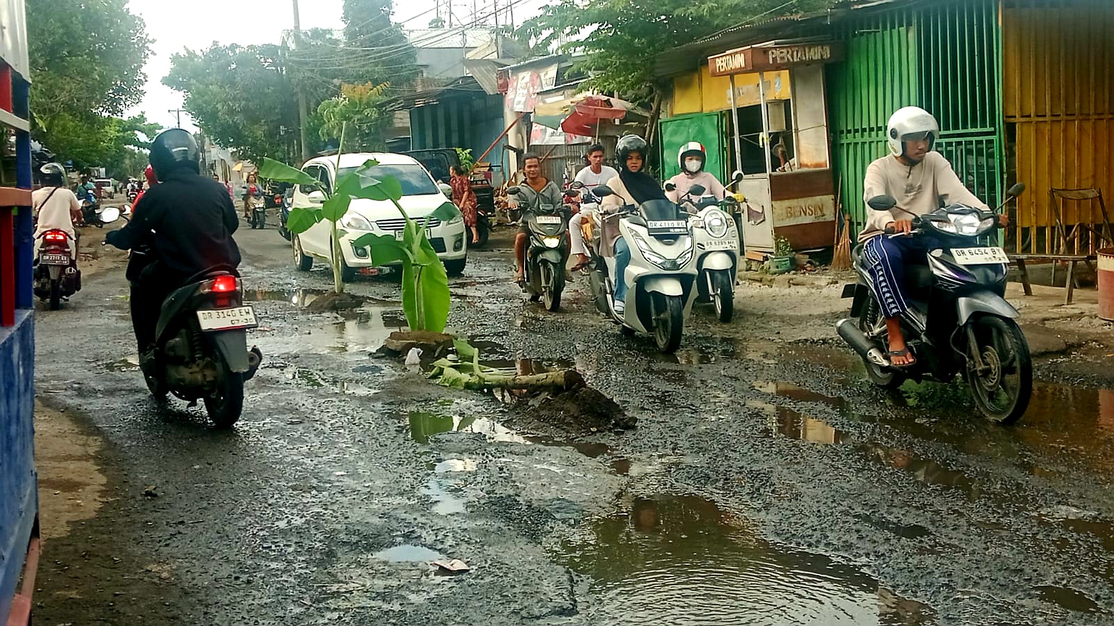 RUSAK PARAH: Warga Desa Kediri Selatan menanami jalan provinsi dengan pohon pisang sebagai bentuk protes, Jumat (12/9).