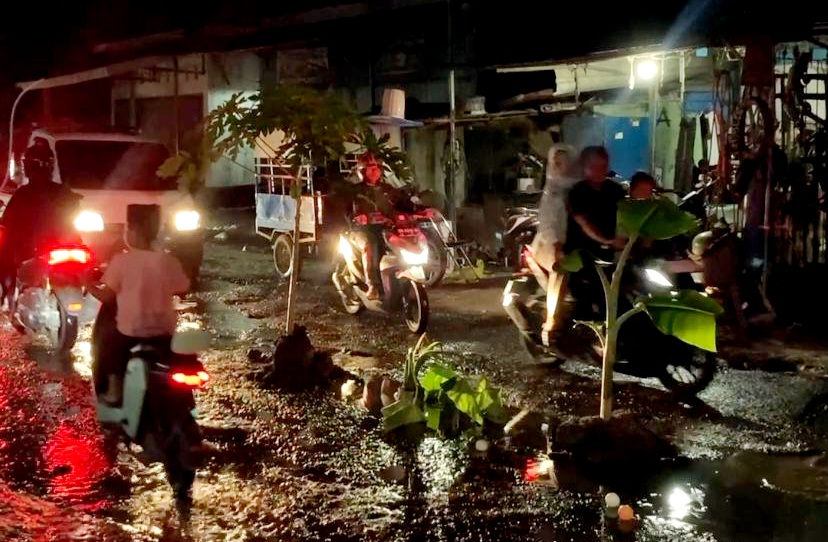 TUNTUT PERBAIKAN: Warga Desa Kediri Selatan menanam pohon pisang hingga pepayan di jalan provinsi yang ada di wilayah tersebut sebagai bentuk protes.
