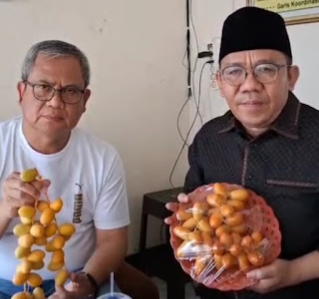 Kurma Lombok Utara Mulai Tembus Pasar Dunia