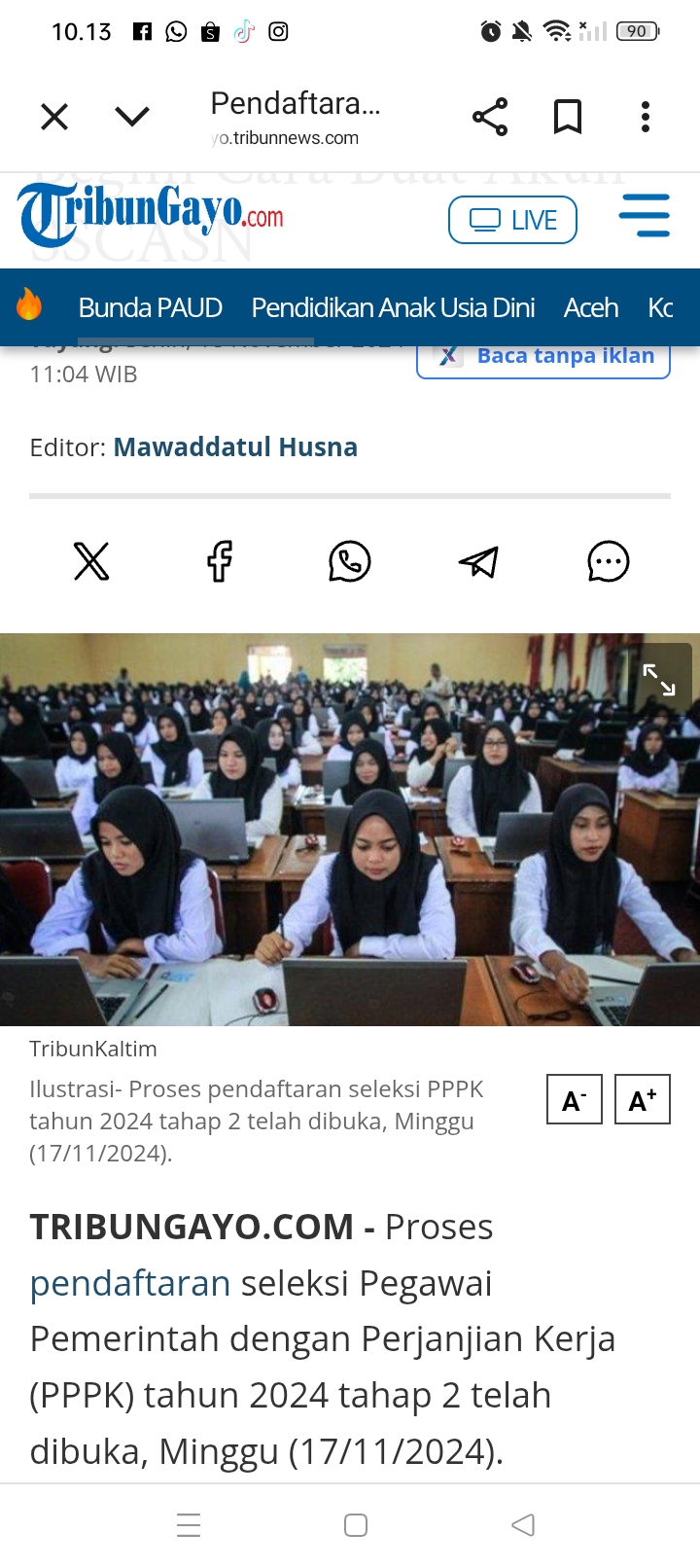 PPPK Paruh Waktu
