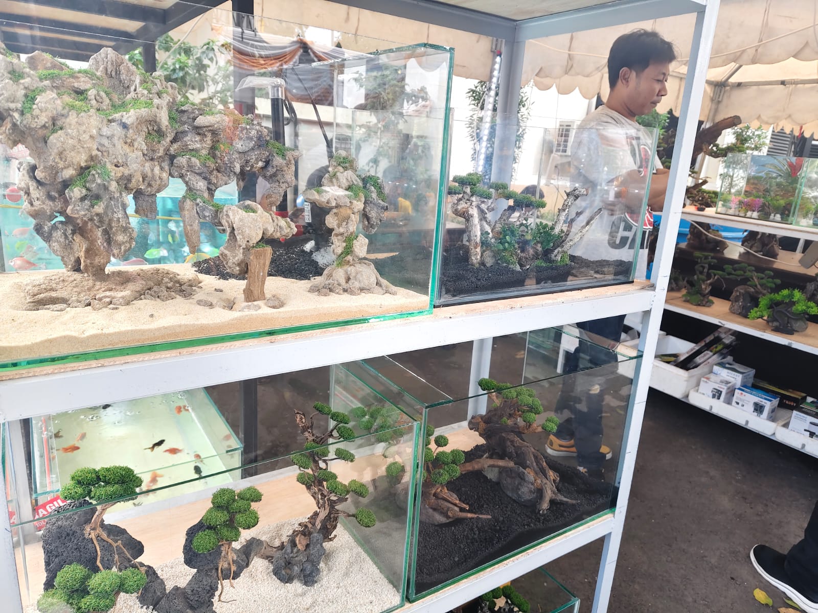 Mini aquarium yang dijual Iqbal dipamerkan di stand acara PKK Kota Mataram, beberapa waktu lalu.