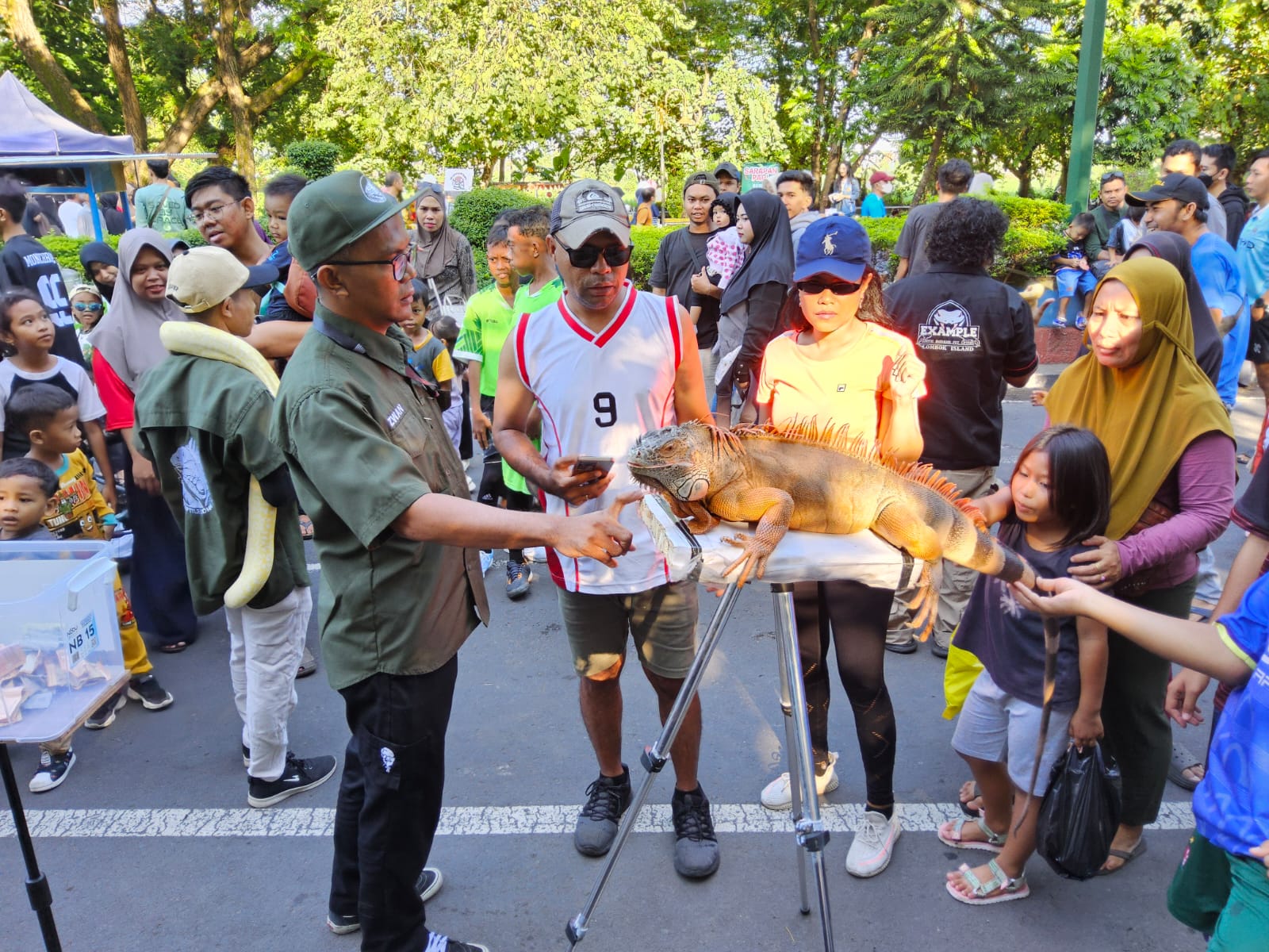 Serunya cara komunitas lombok reptile edukasi masyarakat soal reptil di cfd udayana