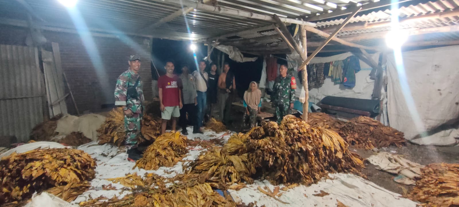 TNI patroli malam dan mengimbau petani tembakau untuk waspada menjelang panen tembakau di Desa Semoyang, Lombok Tengah.