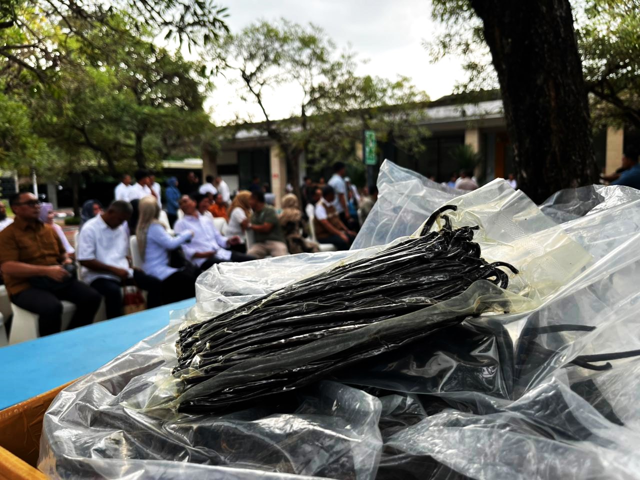 Vanili organik, cengkeh, dan kacang mete KLU diburu banyak pembeli luar negeri.