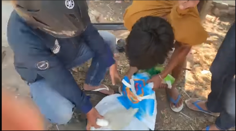 Anggota Satresnarkoba Polres Bima mengungkap penyelundupan sabu dalam karung beras, beberapa hari lalu.