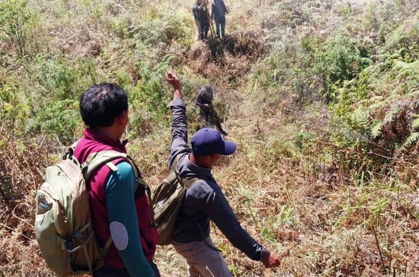 JANGAN RUSAK ALAM: Tim patroli berhasil mengamankan jaring aktif yang digunakan untuk menangkap burung, di kawasan TNGR pada akhir September lalu.