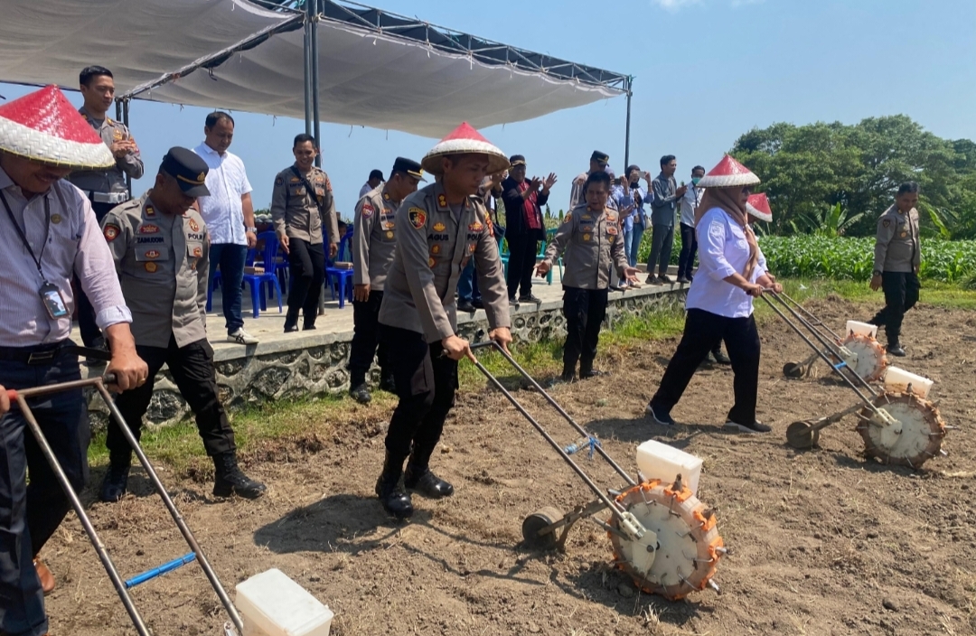 Kapolres Ikut Penanaman Jagung Serentak Kuartal IV di Desa Santong