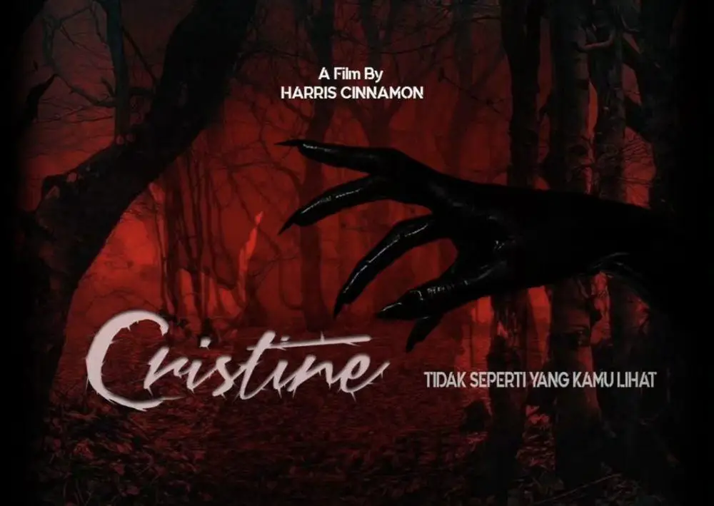 Film Christine: Tidak Seperti Yang Kamu Lihat