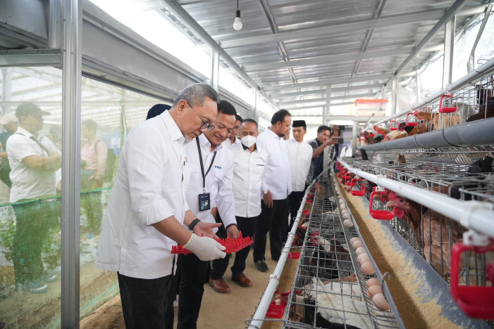 Menko Pangan Zulkifli Hasan panen ayam petelur di Rumah Pangan PNM Kopeng, dukung ketahanan pangan dan ekonomi perempuan desa.