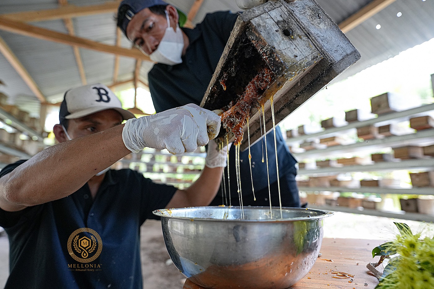 Madu Mellonia Trigona asal NTB tembus pasar Singapura dan Dubai