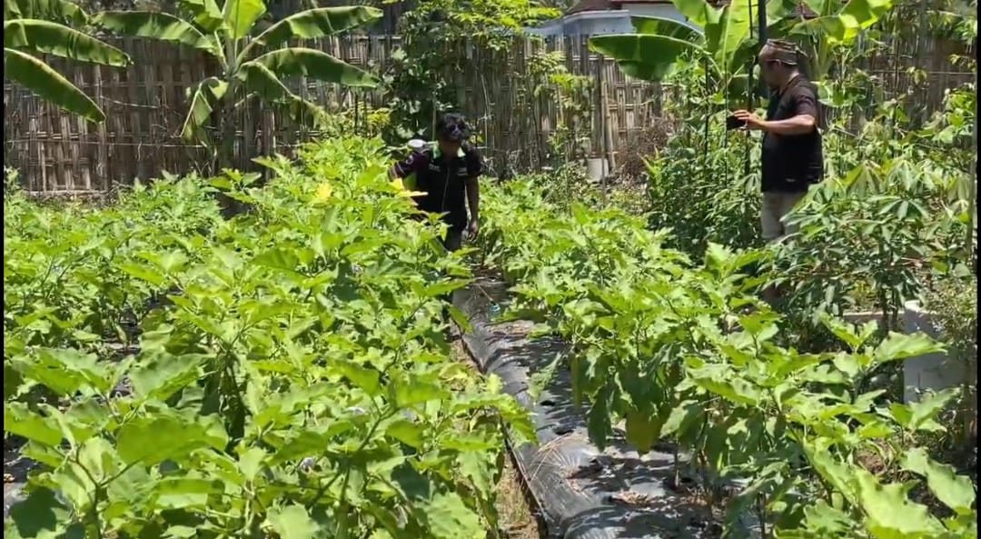 Salah seorang petani di Desa Banjar Sari saat praktek penyemprotan di Repok Literasi setalah mendapatkan materi pencampuran pupuk dan pestisida dari salah seorang pendamping, Senin (13/10)