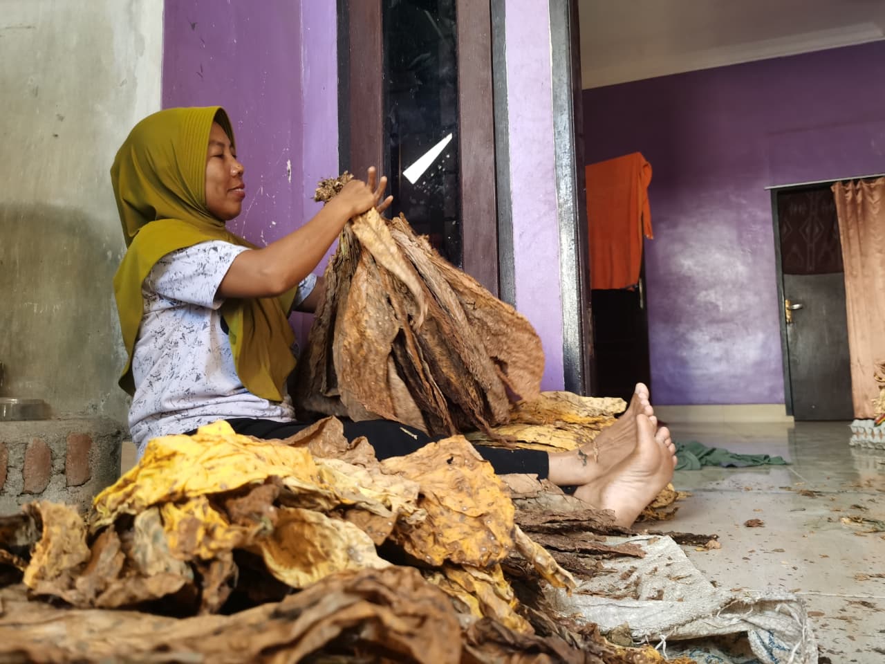NILAI EKONOMI: Seorang buruh tani memilah daun tembakau yang baru selesai di oven, di Lombok Timur, beberapa waktu lalu.