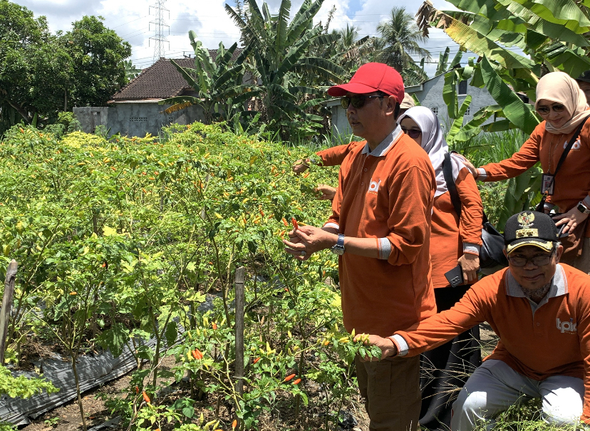 Sekda Lalu Alwan Basri saat mengnjungi lahan Kelompok Tani Orong Balak di Lombok Timur, kemarin (16/10)