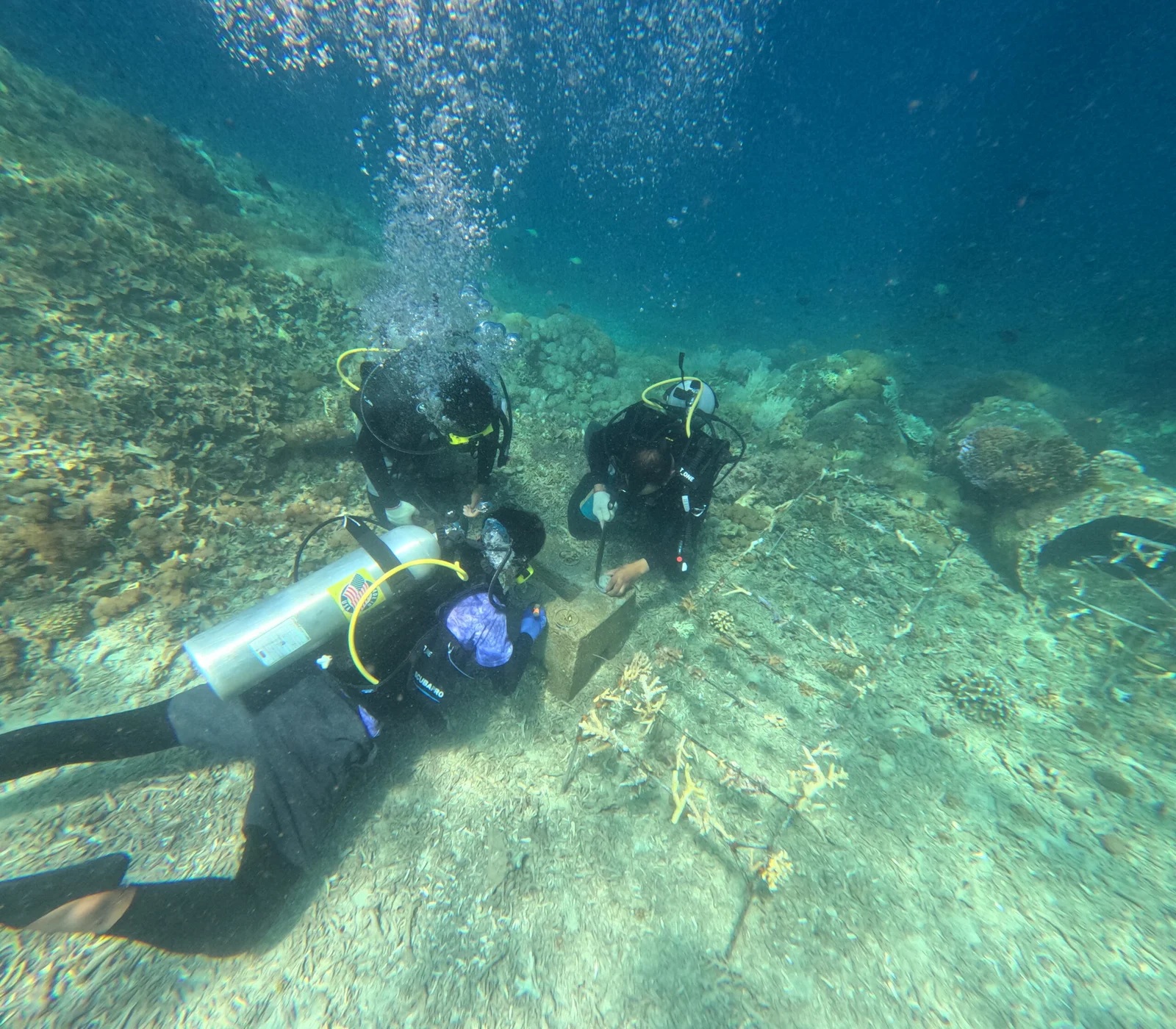 Pemantauan ekosistem terumbu karang di perairan Gili Balu. (FOTO: laman gilibalutransformasea)