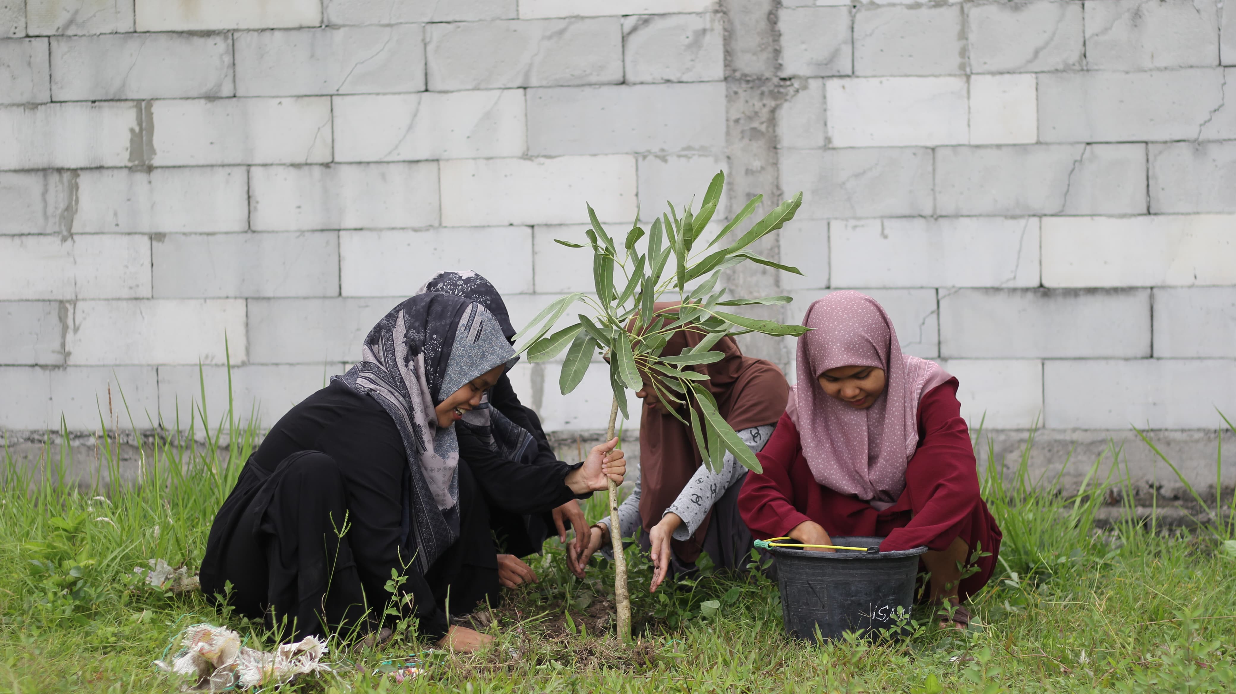 Sejumlah santriwati sedang menanam pohon dalam rangka memperingati hari santri 2025