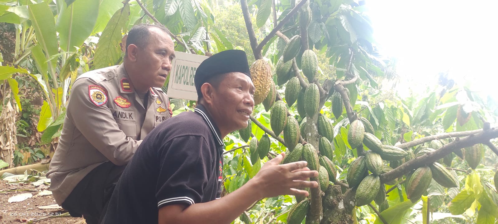PENEMUAN PETANI: Hakamah menjelaskan tentang varietas baru Kakao yang ditanam di Lereng Murmas