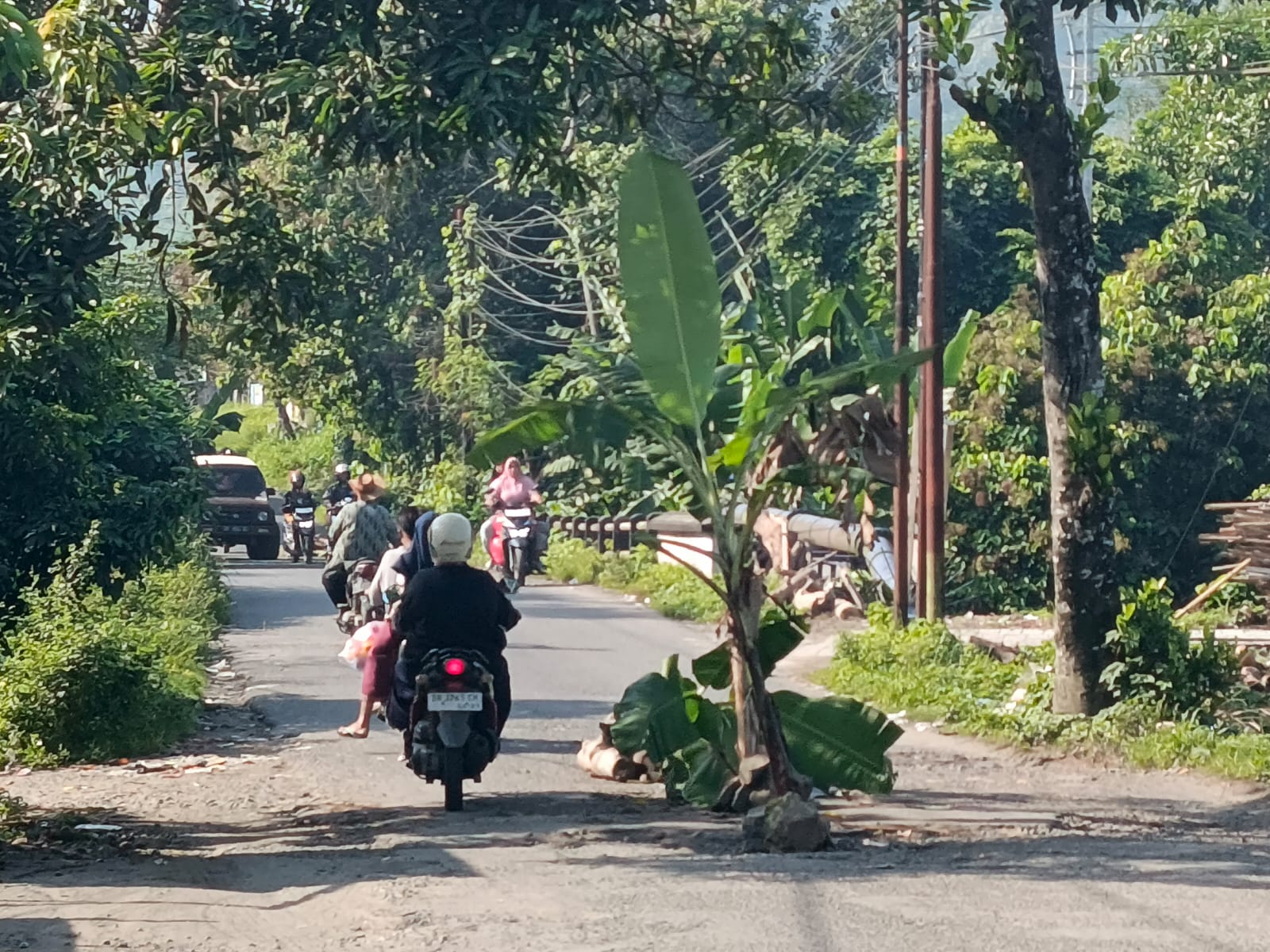 DITANAMI PISANG: Jalan rusak di wilayah Desa Kuripan, Kecamatan Kuripan ditanami warga pohon pisang sebagai bentuk protes, Selasa (28/10).