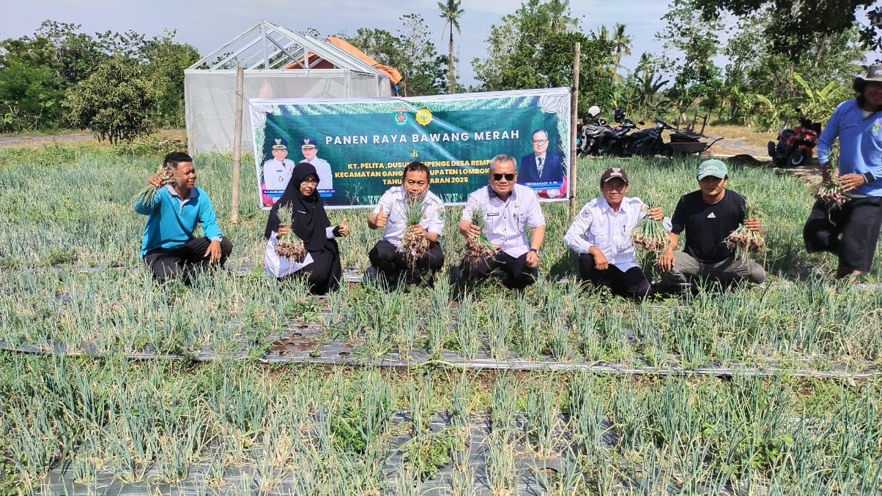 BIBIT UNGGUL: Panen bawang merah perdana bersama para petani di Desa Rempek