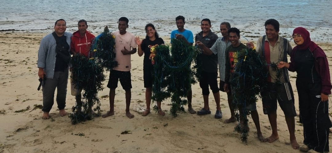 Tim Riset Unram Dr. Eka S. Prasedya (paling kiri) kolaborasi dengan Konservasi Indonesia, dan BUMDes Manandang Kaliuda menunjukkan hasil budidaya rumput laut di Lendunga, Sumba Timur.