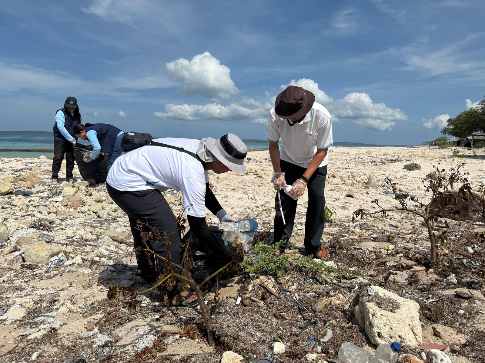 Aksi Bersih Pantai Oesina yang dilakukan PLN UIP Nusra dan Politeknik KP Kupang.