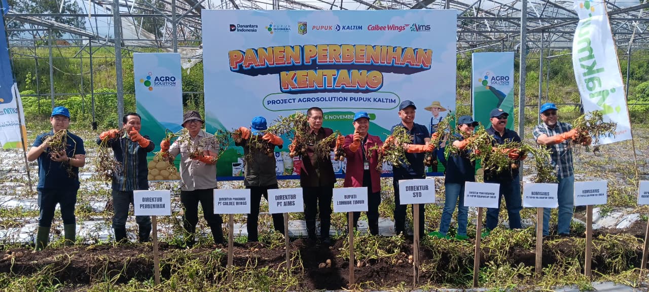 Wilayah Sembalun, Lombok Timur, yang legendaris sebagai lumbung hortikultura, kini diproyeksikan menjadi ujung tombak Indonesia untuk menekan ketergantungan pada impor benih kentang industri.