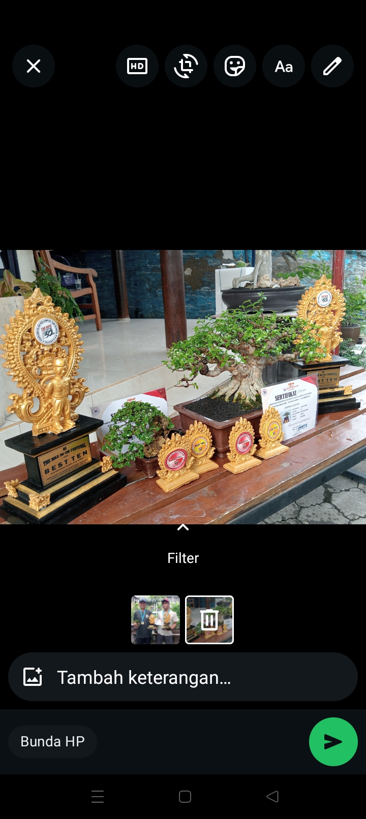Tak main-main, bukan hanya satu jenis pohon bonsai yang masuk kategori Best Ten, tapi dua pohon bonsai yang dibawa The Max Mataram menjadi juara sepuluh besar bonsai terbaik.