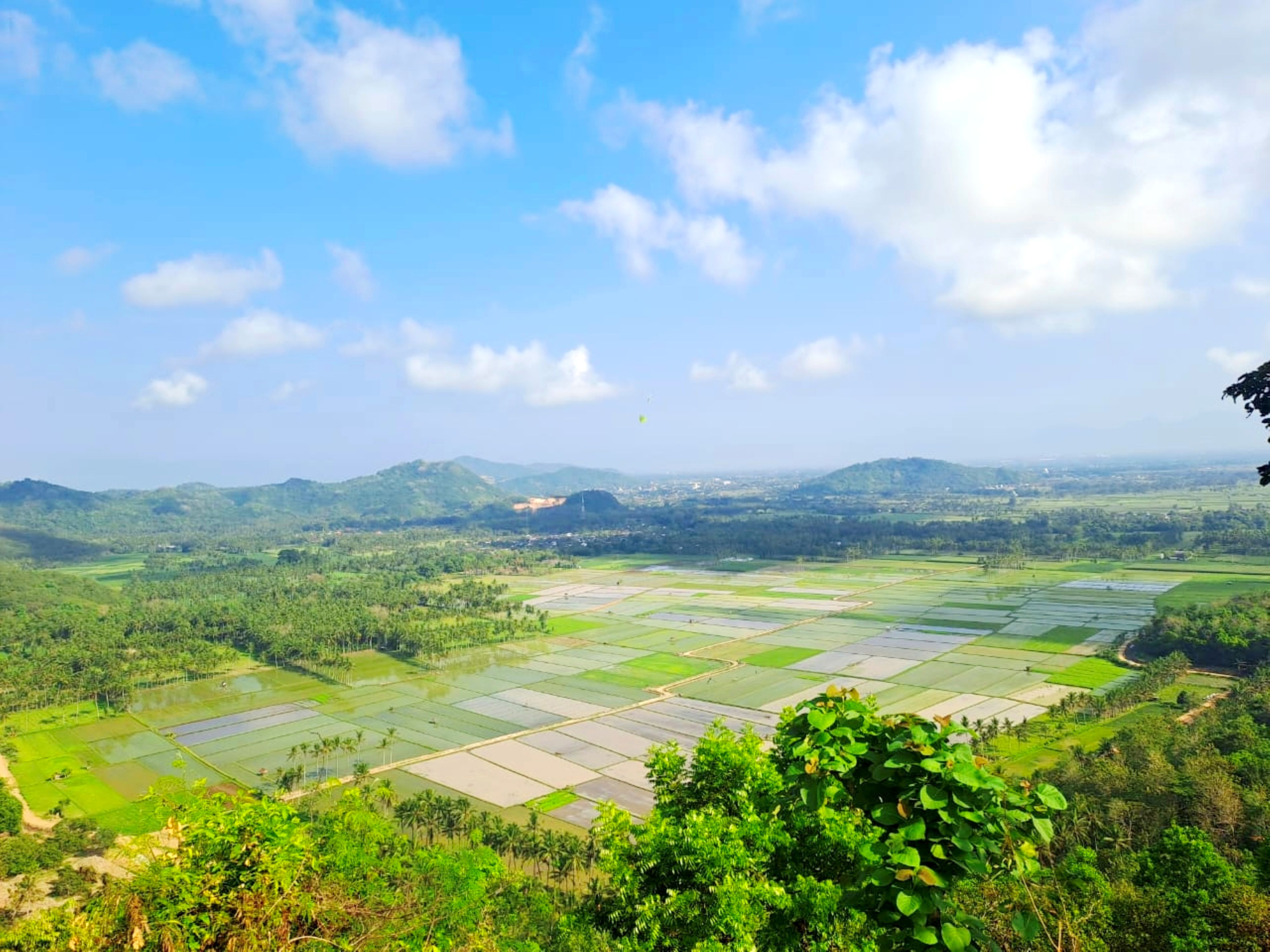 Hamparan sawah hijau memanjakan mata bagi pendaki Bukit Keteri di Lombok Barat