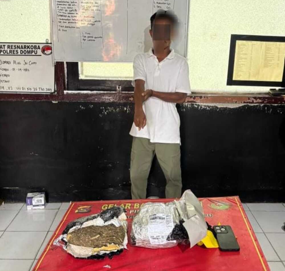 Satresnarkoba Polres Dompu menangkap kurir ganja hampir 1 kg berinisial S, Jumat (14/11).