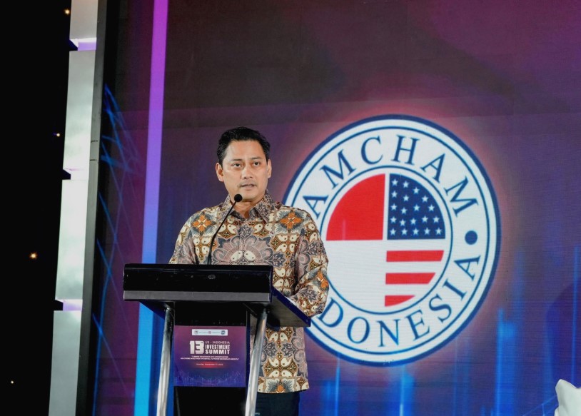 Wamenkeu Thomas Djiwandono Ungkap Target PDB Jangka Menengah 8 Persen, Tekankan Hilirisasi dan Energi Terbarukan