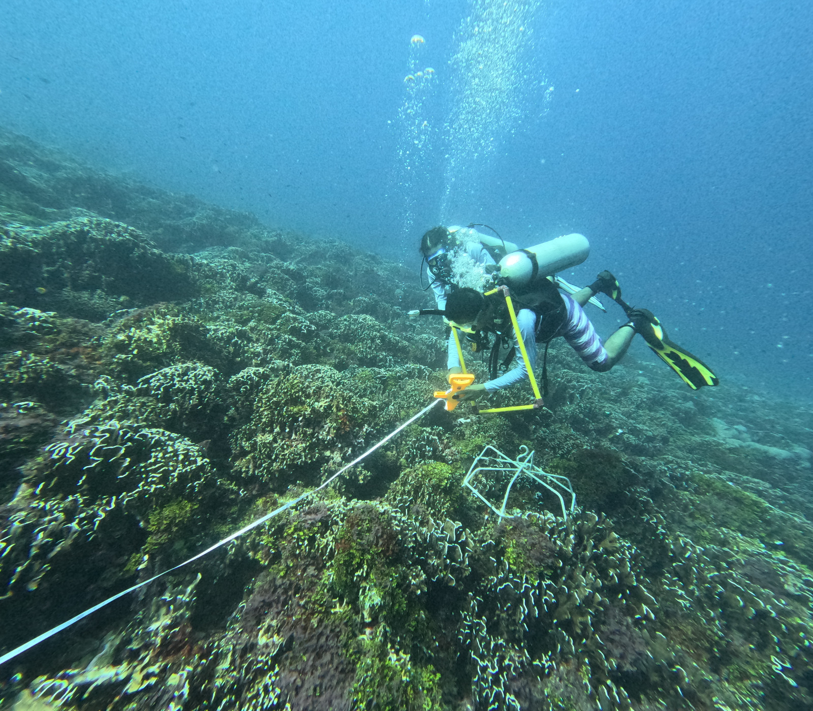 ADA ANCAMAN: BKKPN Kupang melakukan observasi kondisi ekosistem laut di zona inti kawasan Gili Matra, beberapa waktu lalu
