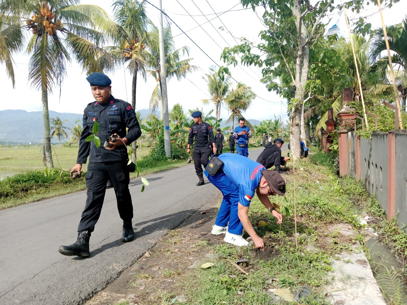 Aksi penanaman bibit pohon nangka di ruas jalan desa Ranggagata, Lombok Tengah, Minggu (23/11).