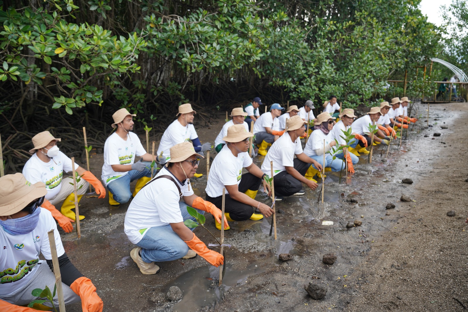 Aksi menanam ribuan bibit pohon yang dilakukan PLN di pesisir Lombok Timur.