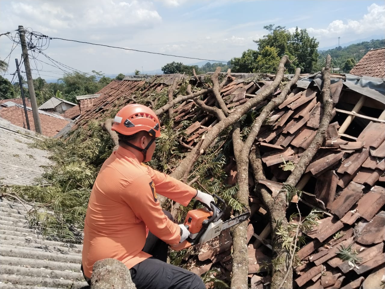 Personel BPBD Kabupaten Bogor melakukan pembersihan material pohon yang terdampak angin kencang di wilayah Kabupaten Bogor, Jawa Barat, Senin (1/12).