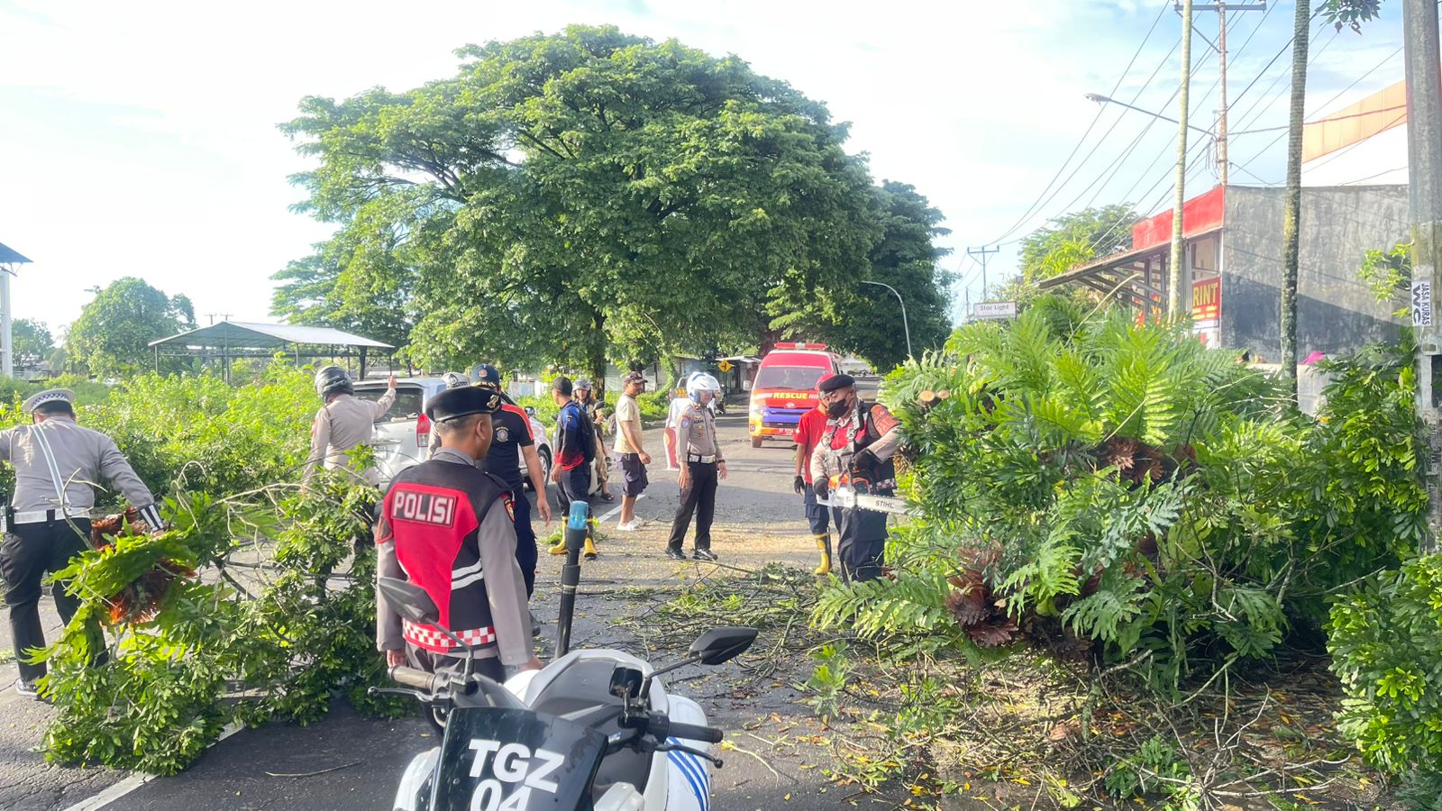 Polres Lombok Tengah bertindak cepat evakuasi pohon tumbang yang menghalangi Jalan di Simpang Empat Tiga Dara, Kecamatan Praya.